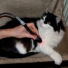 LaserVet 3.0 veterinárny laser