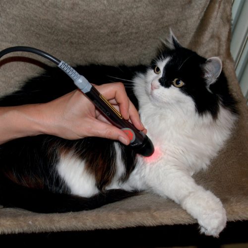 LaserVet 3.0 veterinárny laser