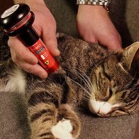 Veterinárny laser