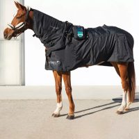 Veterinárna magnetoterapia