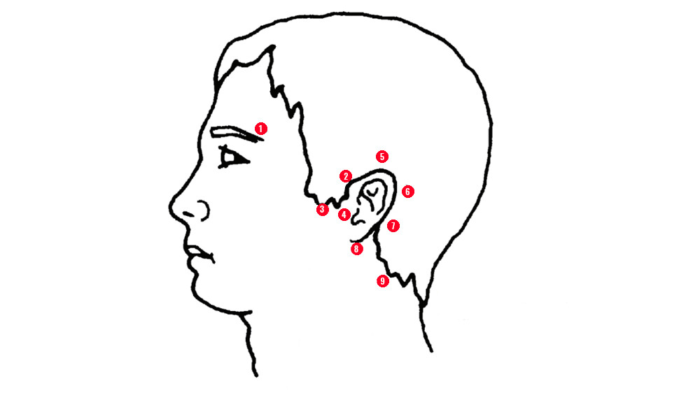61e4014c18e0b-61e4014c18e19Tinnitus-kezelesi-pontok-a-ful-korul.jpg.jpg