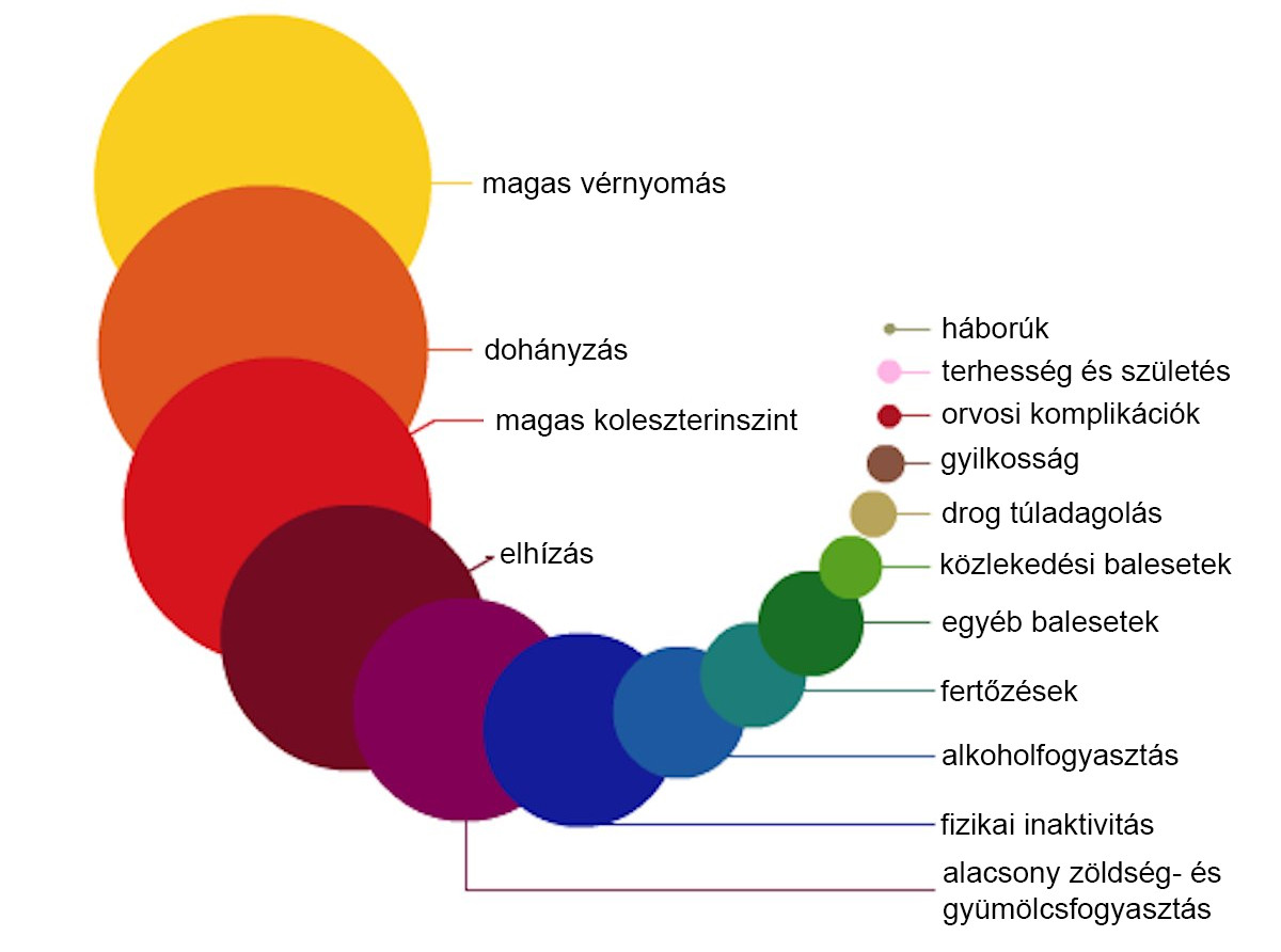 Halalhoz-vezeto-rizikofaktorok.jpg